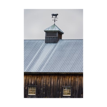 Brenda Petrella Photography Llc 'Rustic Weathervane' Canvas Art,22x32